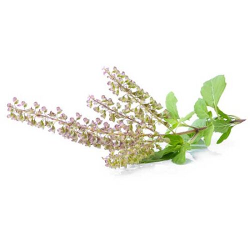 category article image